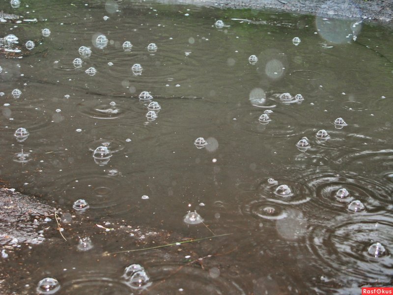 Капли дождя по луже пузыри