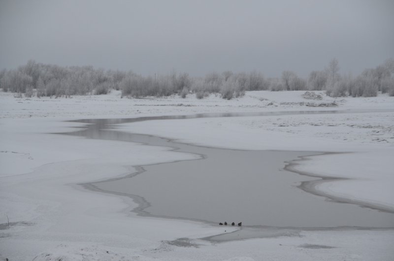 Замерзшее озеро Каракол Нарын