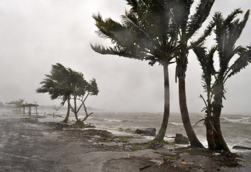 Тайфуны и тропические ураганы