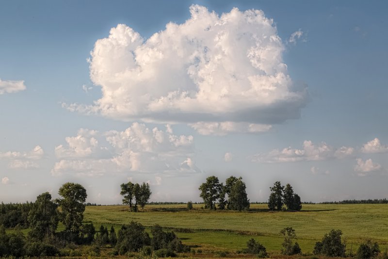 Кучевые облака в поле