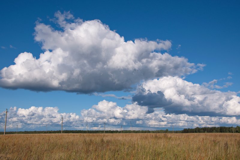 Кучевые облака над полем