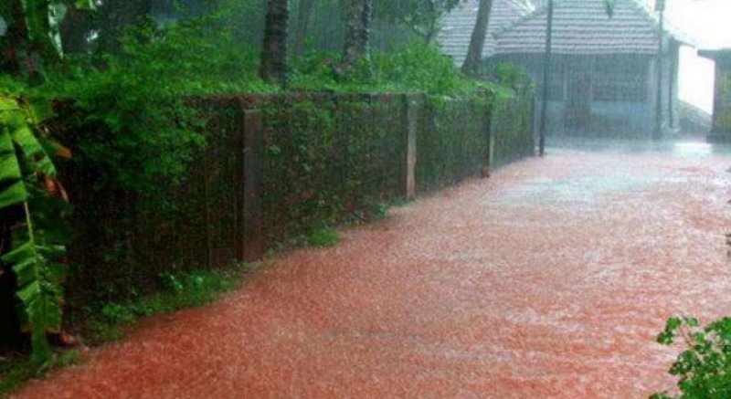 Кроваво красный дождь в Индии
