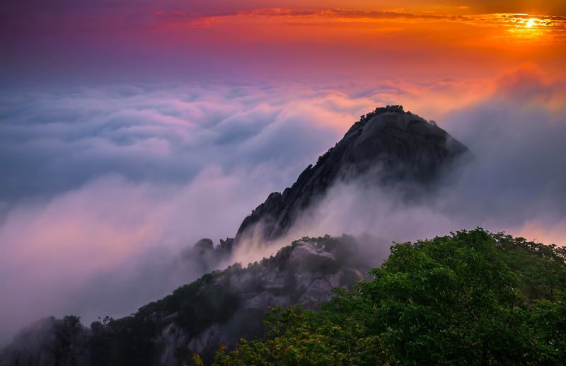 Южная Корея природа