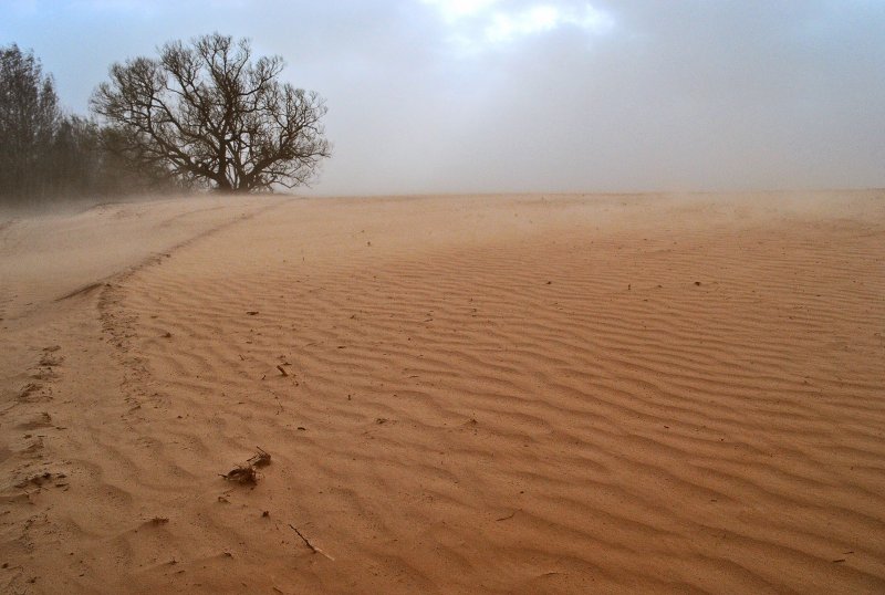 Песчаные и пыльные бури