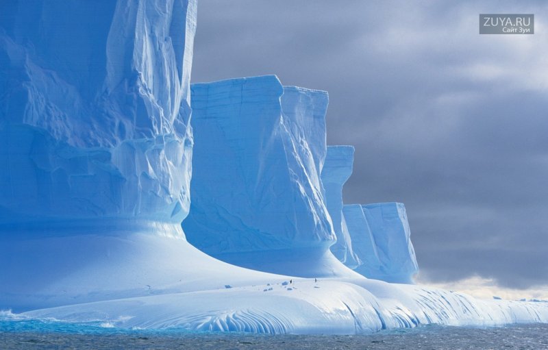 Выводные ледники Антарктиды