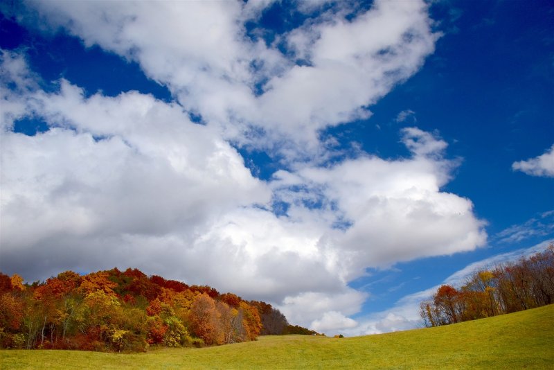Осенний пейзаж с небом
