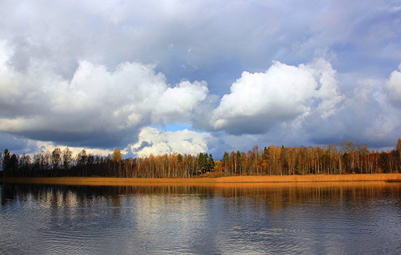 Осень елочки озеро облака фото