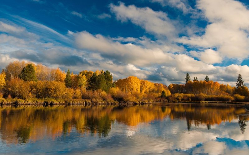 Осень отражение в озере