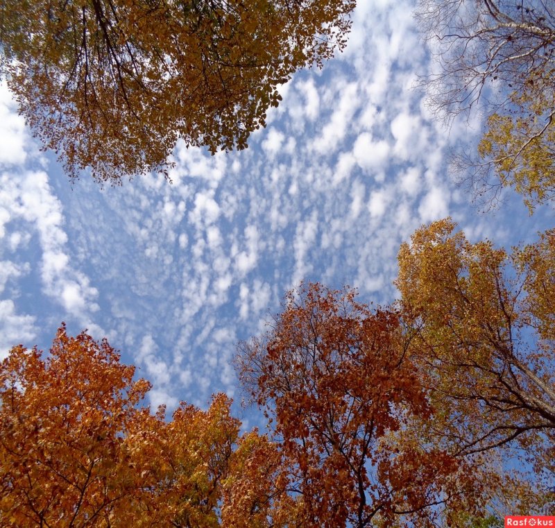 Осенние облака