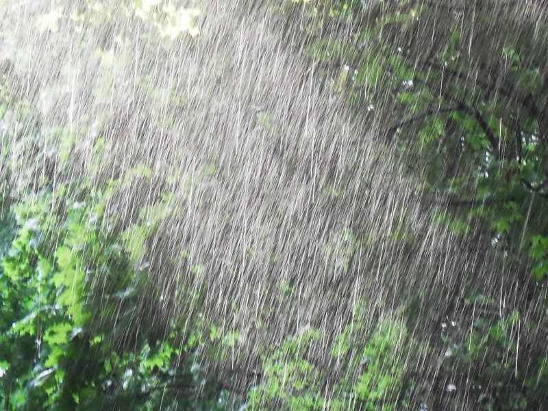 Сильный дождь летом