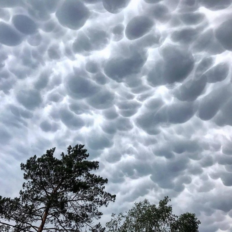 Кучево-дождевые вымеобразные облака