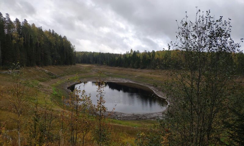 Шимозеро Вологодская область