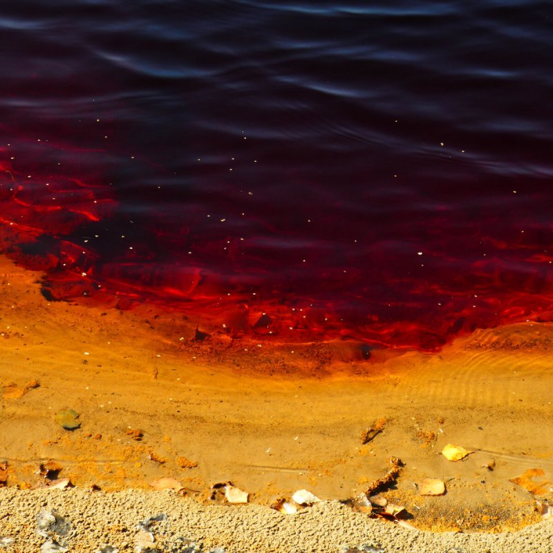 Красное озеро Шираз