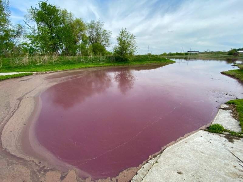 Розовое озеро Самарская