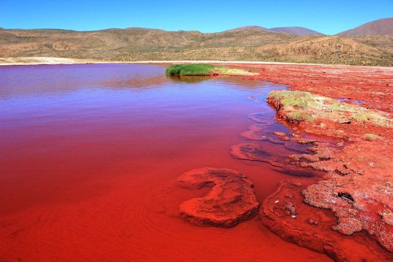Красное озеро Лагуна Колорадо