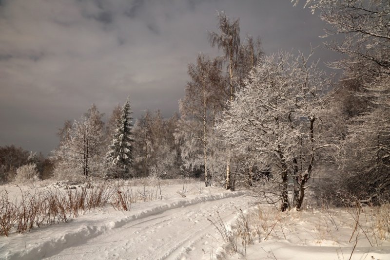Зимний лес Есенин пороша