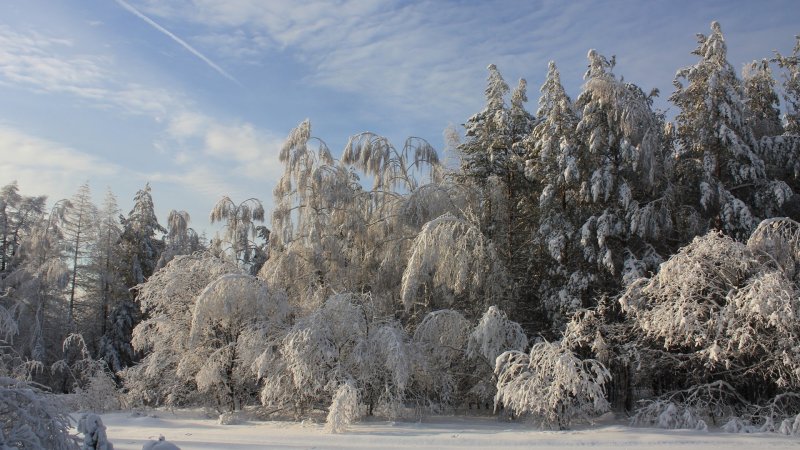 Зима Мороз на Ямале