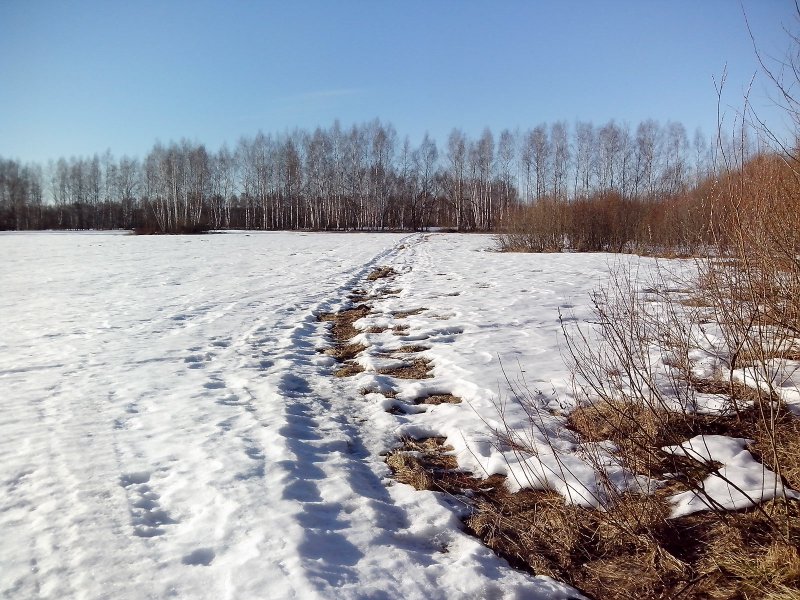 Снежный наст в Казахстане