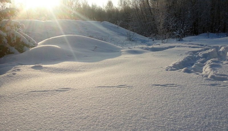 Снежные Барханы