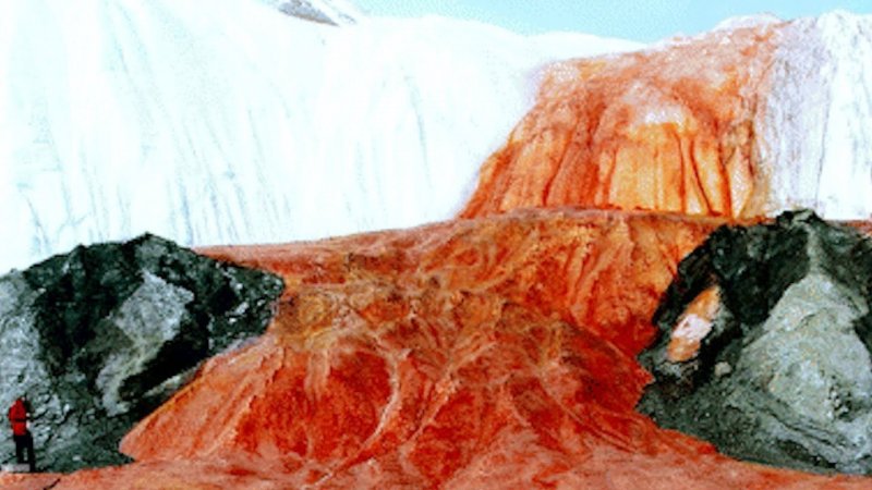 Кровоточащий ледник Антарктида