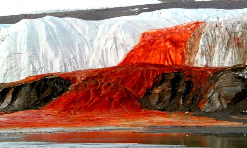 Ледник Тейлора Кровавый водопад