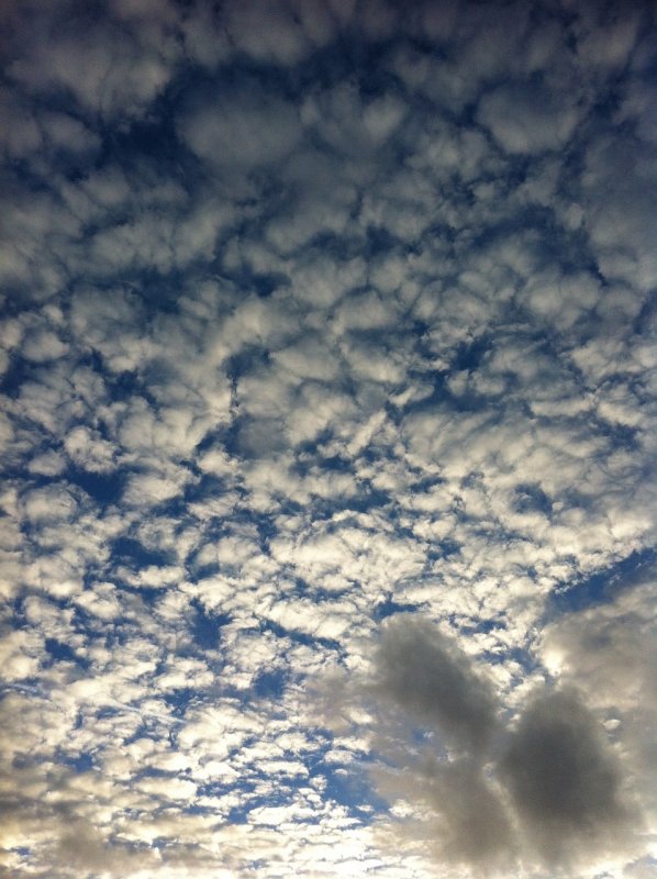 Небо перьевые облака