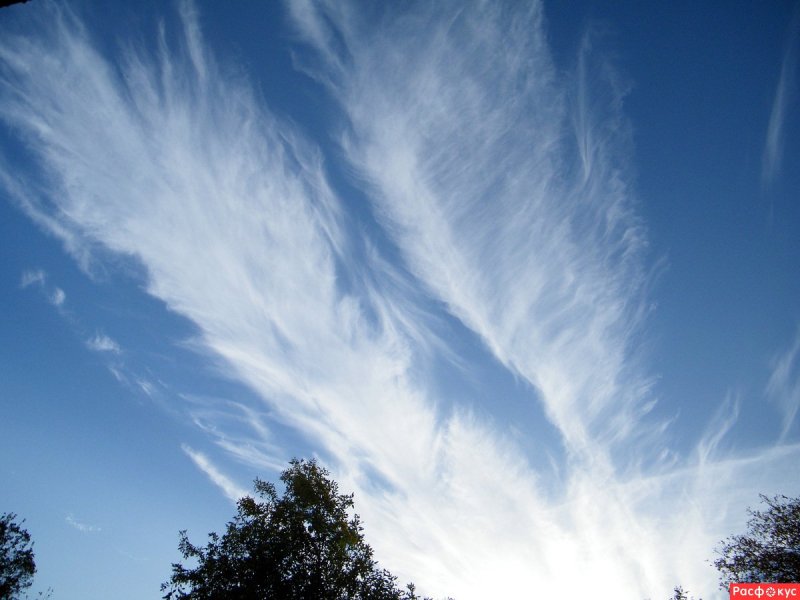 Высокие перьевые облака в небе
