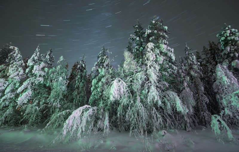 Лес зимой ночью Пурга