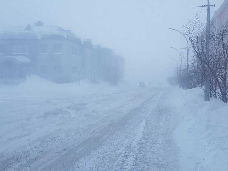 Снежная буря в Сибири