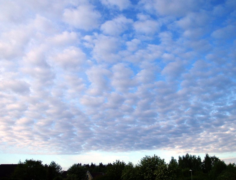 Как выглядят Кучевые облака