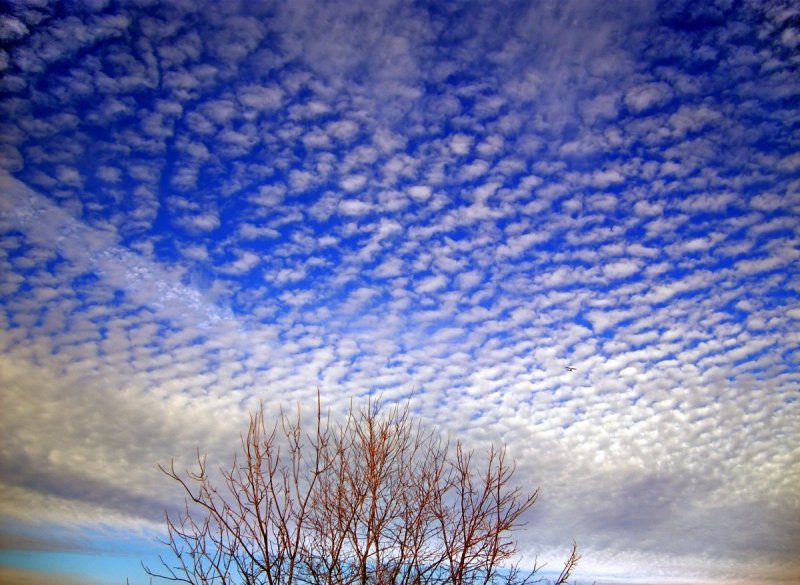 Перисто-Кучевые чечевицеобразные облака