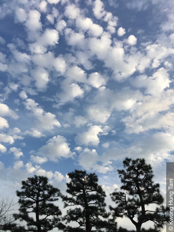 Высококучевые чечевицеобразные облака