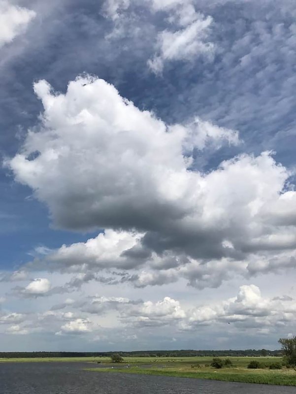 Высококучевые облака фото