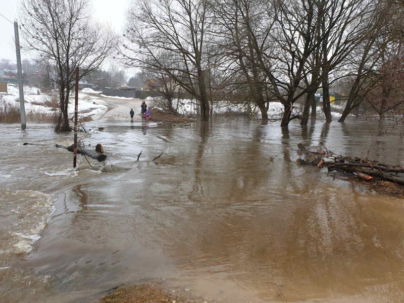 Наводнение в Вологодской области