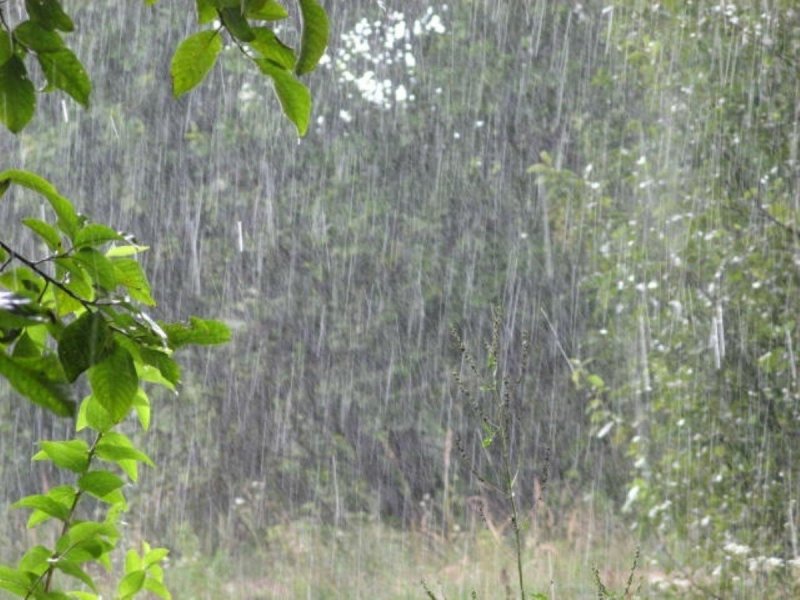 Сильный дождь природа