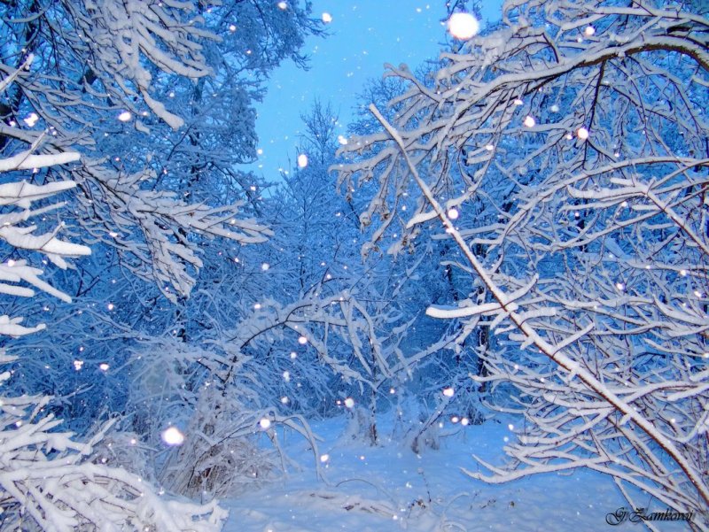 Зимний пейзаж снежинки