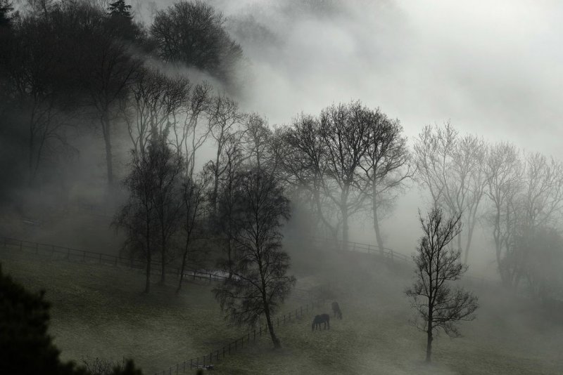 Природа туман