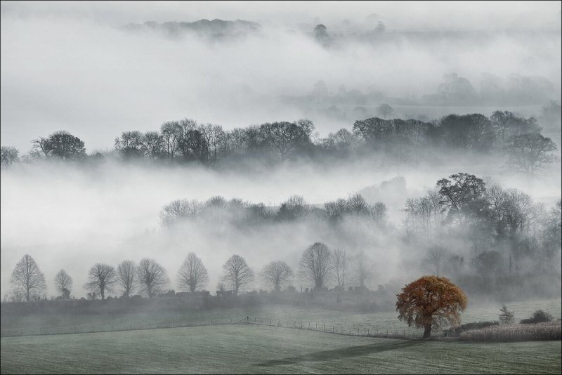 Долина пеуси, Уилтшир, туман, Англия, графство, осень.