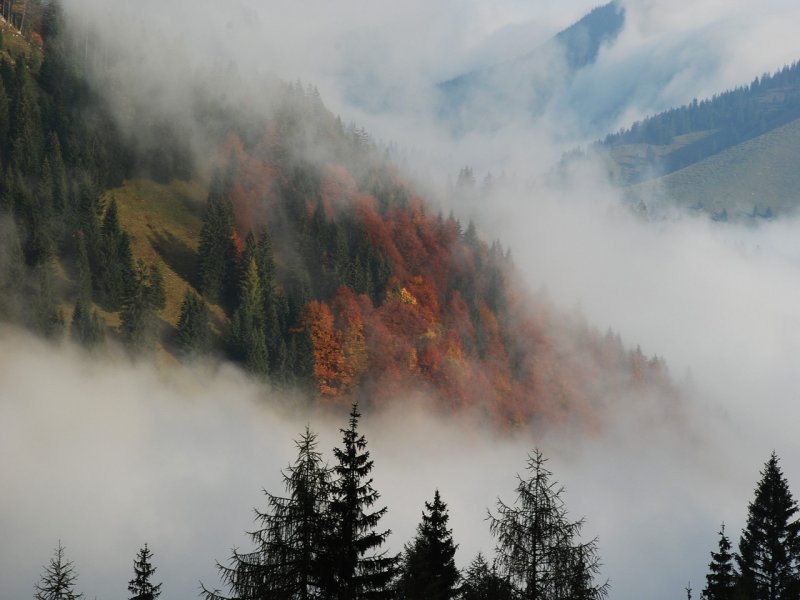 Горы осень туман