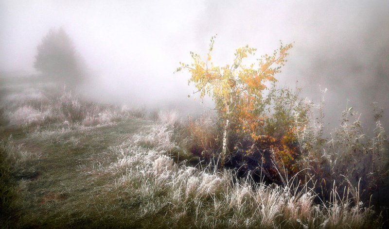 Осенний пейзаж туман
