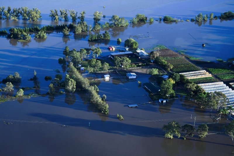 Студия Flood Australia