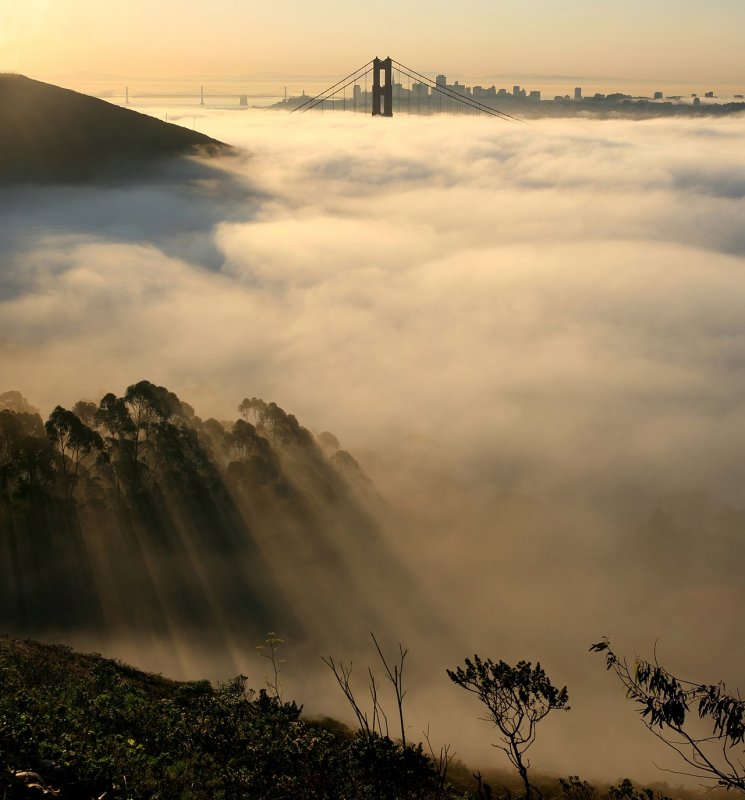 Окутанный туманом Сан Франциско