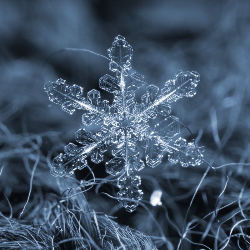 Микрофотография снежинки