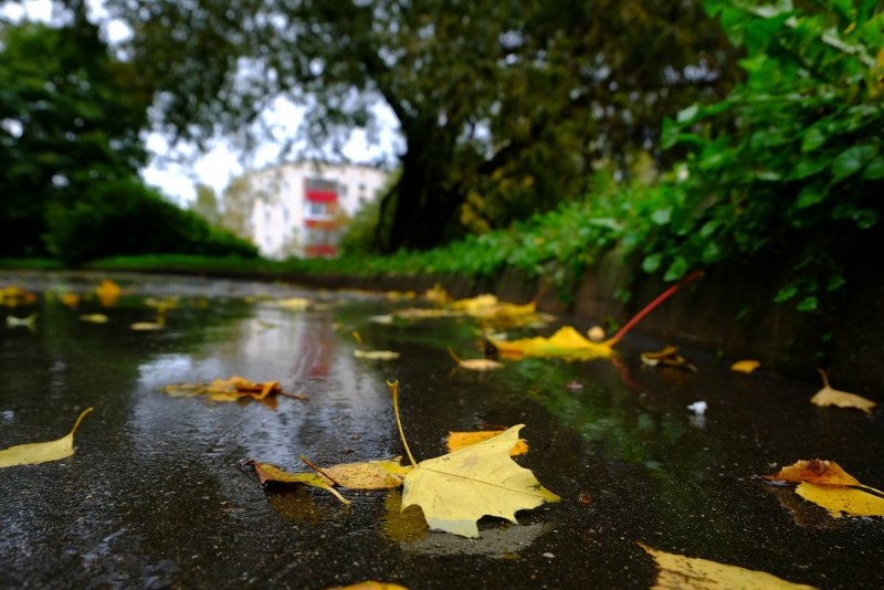 Осень после дождя