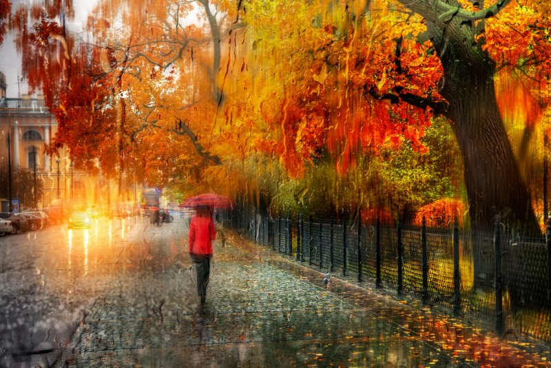 Осень в фотографиях Эдуарда Гордеева