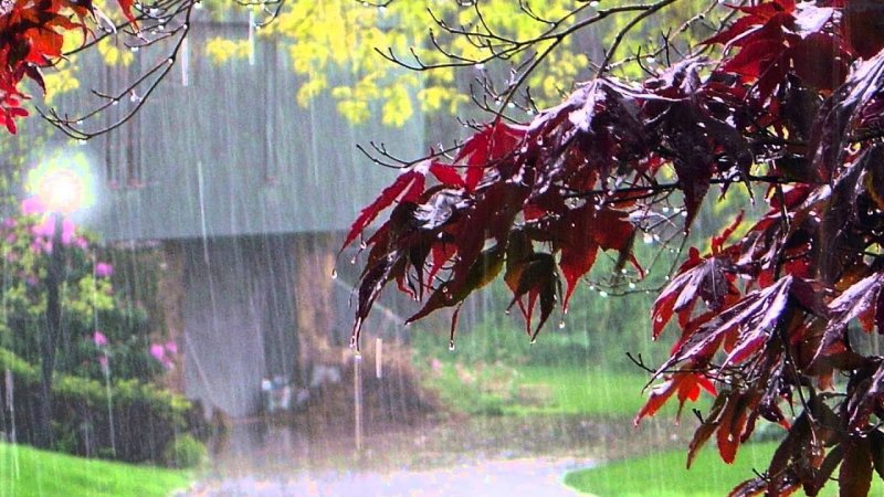 Осенний дождик