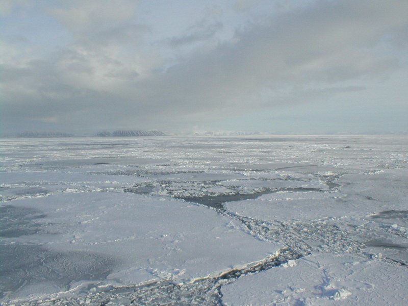 Пруд Первоуральск лёд