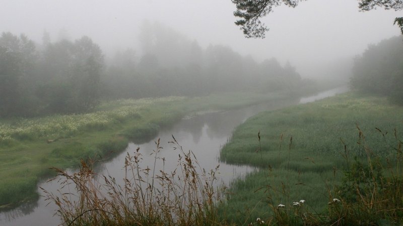 Туман речка Кострома
