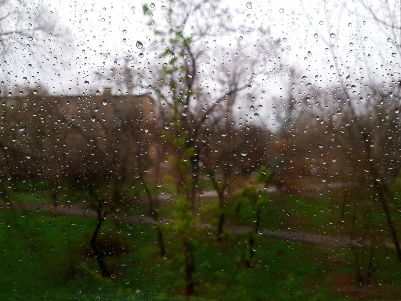 Калаш весенний дождь