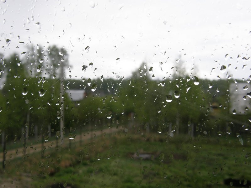 Дождь весной